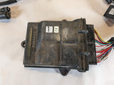 Raven Hagie Smarttrax Node 10630173375 w/ Harness