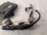 Raven Hagie Smarttrax Node 10630173375 w/ Harness